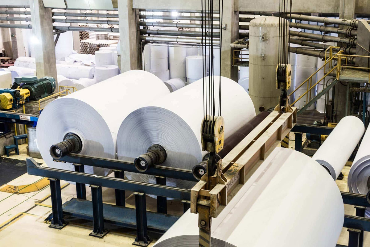 supply chain management agnsfood